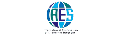 IAES logo