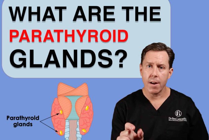 What are the parathyroid glands? Dr Ben explains.